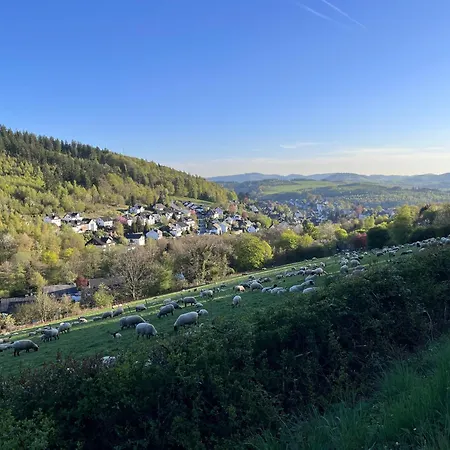 Terrasse Mit Grill Nahe Winterberg Bis 6 Gaeste Apartment Schmallenberg